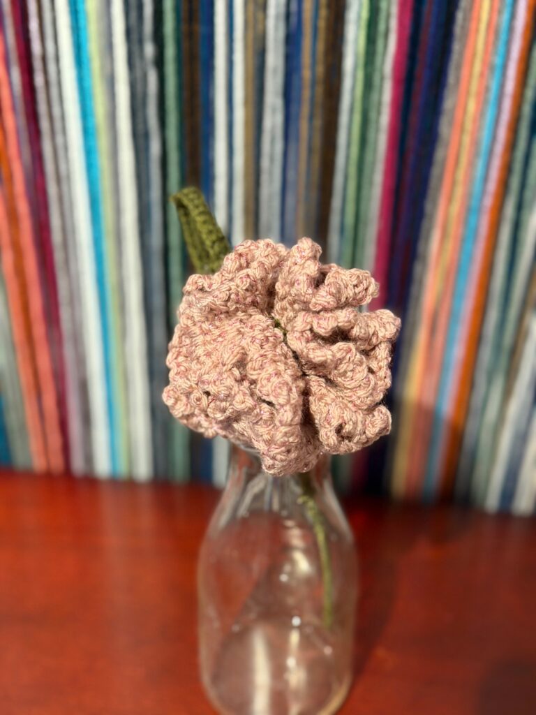 Carnation by Brook